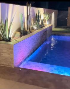 una piscina con cactus y plantas en una habitación en Villa Nawel Piscine privée et chauffée sans vis-à-vis, en Agadir
