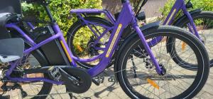 Jízda na kole v ubytování Zwei Schlafzimmer Ferienapartment Anna am Stubenbergsee inklusive vier E-Bikes nebo okolí