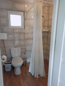 a bathroom with a toilet and a shower curtain at Pod Wierzbami in Żuławki +15 photos