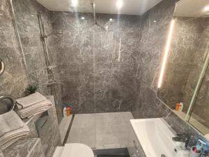 a bathroom with a shower and a toilet and a sink at Sea Sand apartment in Liepāja +12 photos