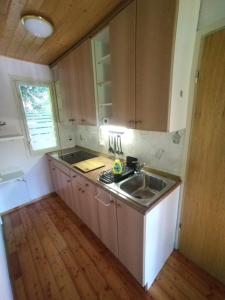 a kitchen with wooden cabinets and a sink and a window at Počitniška hiša Lokve in Trnovo