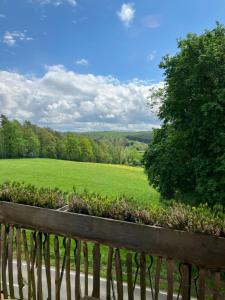 een houten hek met uitzicht op een groen veld bij Maison des Ardennes in Maissin