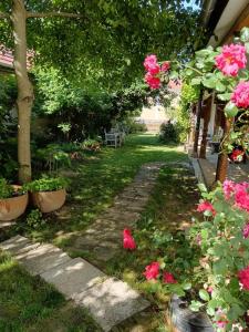 Zahrada ubytování Feked Farmstay