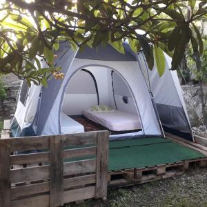 una tenda è posizionata sotto un albero. di Deux tentes confortables dans un joli jardin idéalement situé a Sète