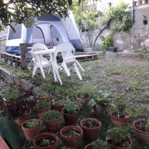 zwei weiße Stühle und Topfpflanzen vor einem Zelt in der Unterkunft Deux tentes confortables dans un joli jardin idéalement situé in Sète