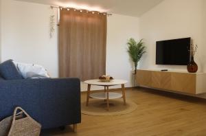 TV a/nebo společenská místnost v ubytování Apartments Ritoša