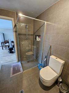 ein Bad mit einer Dusche und einem WC in einem Zimmer in der Unterkunft Brand new self-contained one bedroom unit in Queanbeyan