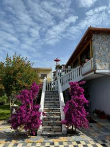 a staircase with purple flowers in front of a house at Holiday House in Lezhë