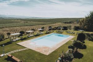 an aerial view of a villa with a swimming pool and a vineyard at Podere Il Belvedere su Cortona in Castiglion Fiorentino