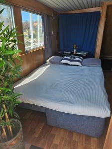 1 dormitorio con 1 cama grande y cortina azul en M/S Furusund en Furusund