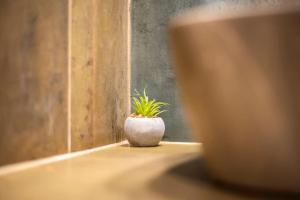 カリストスにあるΚadioの鉢植え