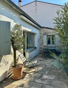 un patio con maceta, mesa y sillas en Maison de charme 3 chambres Ile de Ré, la Couarde, en La Couarde-sur-Mer