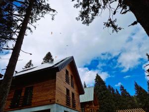 un edificio de madera con cometas volando en el cielo en Aparthaus PINIA en Martin