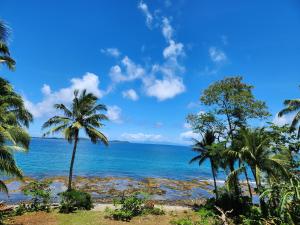 - une vue sur l'océan depuis une plage bordée de palmiers dans l'établissement Twin Island Beach House, à Hinunangan