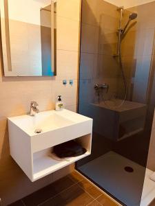 La salle de bains est pourvue d'un lavabo blanc et d'une douche. dans l'établissement Pension Auer, à Liebenfels