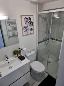 ein Badezimmer mit Toilette und Glasdusche in der Unterkunft Maison aux portes de Tours in Saint-Pierre-des-Corps