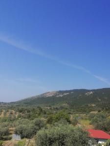 Blick auf einen Berg mit Bäumen und ein Haus in der Unterkunft casaeudokia in Apóllona + 2 Fotos