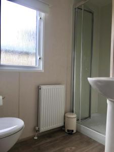 een badkamer met een toilet, een wastafel en een douche bij Forest View at Oakdene Forest Park in Ringwood
