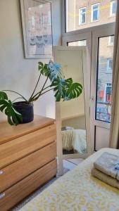 een slaapkamer met een plant op een dressoir en een spiegel bij Cozy apparment close to center with big terrace in Amsterdam