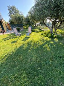 dos sillas sentadas en el césped en un patio en CASA VISTA MARE - Superb garden and Parking included en Imperia