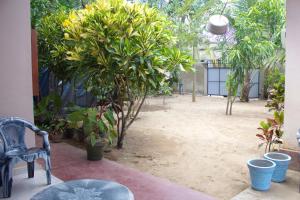 a patio with trees and a chair and a table at Sagopearl Guest in Mirissa