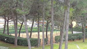 a park with a bunch of trees and bushes at RESIDENCE SOLARIUM, CORMOR 33 in Bibione