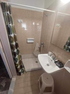 y baño pequeño con lavabo y ducha. en Antzela Apartments en Sidárion