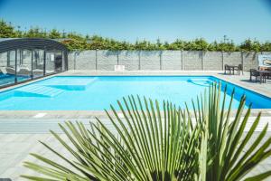 a swimming pool with a palm plant in front of it at RResort Holiday Homes - HEATED Swimming Pool & Sauna in Rewal