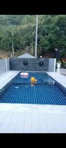 - une piscine avec un frisbee et un bol dans l'établissement Khao thalu guest house, à Ban Muang Wan