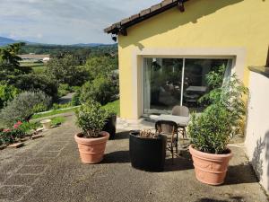 Zahrada ubytování Studio Belle Vue