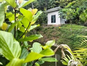 uma pequena casa branca no meio de uma floresta em บ้านเล็กในป่าใหญ่โฮมสเตย์ กงหรา พัทลุง 
