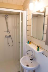 a bathroom with a sink and a shower and a mirror at RCN Vakantiepark de Roggeberg in Appelscha