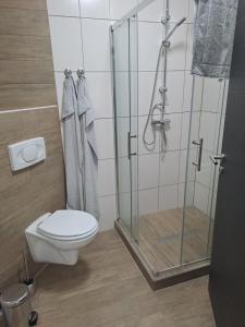 a bathroom with a toilet and a glass shower at Zum Gogerer in Floß +5 photos