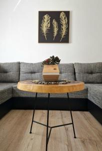 une table basse en face d'un canapé dans l'établissement 2 Bedroom Apartment Ljubica Sinj, à Sinj