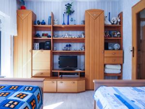 um quarto com uma televisão numa estante de livros de madeira em Ferienwohnung am Domberg em Suhl