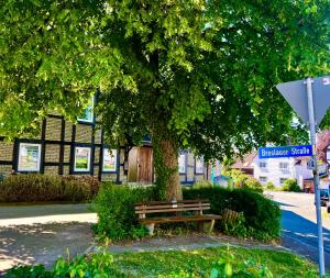 a park bench under a tree in front of a building at Linger House in Bevern