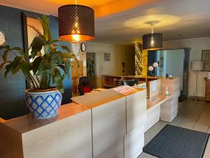 a lobby with a counter with a potted plant on it at L'Escale d'Alès HOTEL in Alès