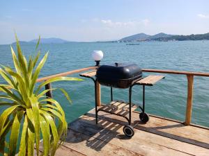 Φυσικό τοπίο κοντά σε αυτό το κάμπινγκ +9 φωτογραφίες