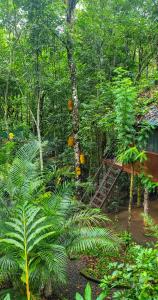 a garden with a house in the middle of a forest at Monsoon Retreats Ecostay- Treehouse in Thekkady
