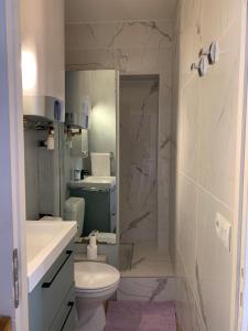 a bathroom with a shower and a toilet and a sink at Studio indépdt centre ville 300m du lac d’Annecy in Veyrier-du-Lac +25 photos