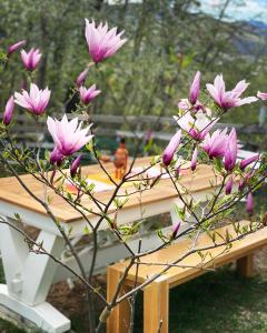 um ramo de flores cor-de-rosa ao lado de uma mesa em Casa Mariei - Vila Breaza em Nistoreşti