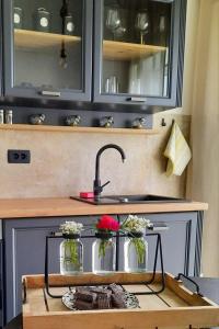 Køkken eller tekøkken på Apartment Mamma Mia