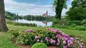 a park with a lake and flowers in the grass at Ferienwohnung Mathilda in Waren