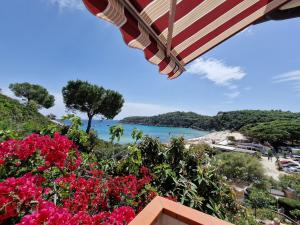 a view of a beach and an umbrella and flowers at Appartamenti Fetovaia Elicriso in Fetovaia