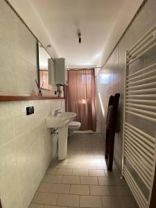 ein Bad mit einem Waschbecken, einem WC und einer Dusche in der Unterkunft Agriturismo San Giuliano dei fratelli Giai in Susa