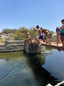 アスワンにあるArtika Wadi Kiki Hotelの橋から水中に飛び降りる少年たち