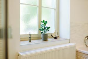 ein Fenster mit einer Topfpflanze auf einer Fensterscheibe in der Unterkunft Villa Levin: 120m², bis 8 Pers, free Wifi & parken 