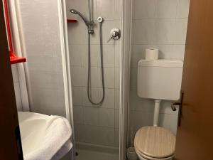 a bathroom with a shower with a toilet and a sink at La voglia in Villanova sullʼArda