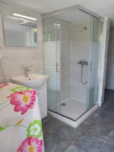 a bathroom with a shower and a sink at Katafigio Home in Tsagkarada Village in Tsagarada