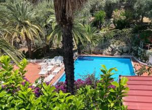 ein Resort mit einer Palme und einem Pool in der Unterkunft Villa Sofia in Massa Lubrense